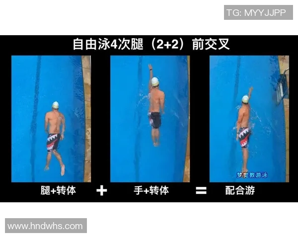 自由泳技巧提升指南:从基础动作到高级训练方法全解析