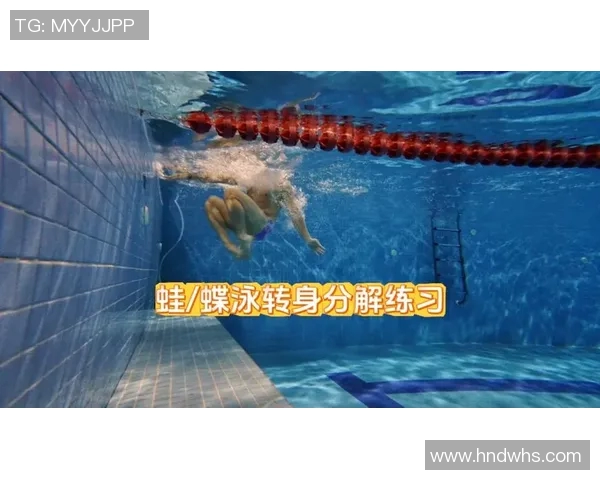 蝶泳比赛规则详解及注意事项：从起跳到转身全程解析